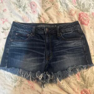 American-eagle Women's Navy and Blue Shorts